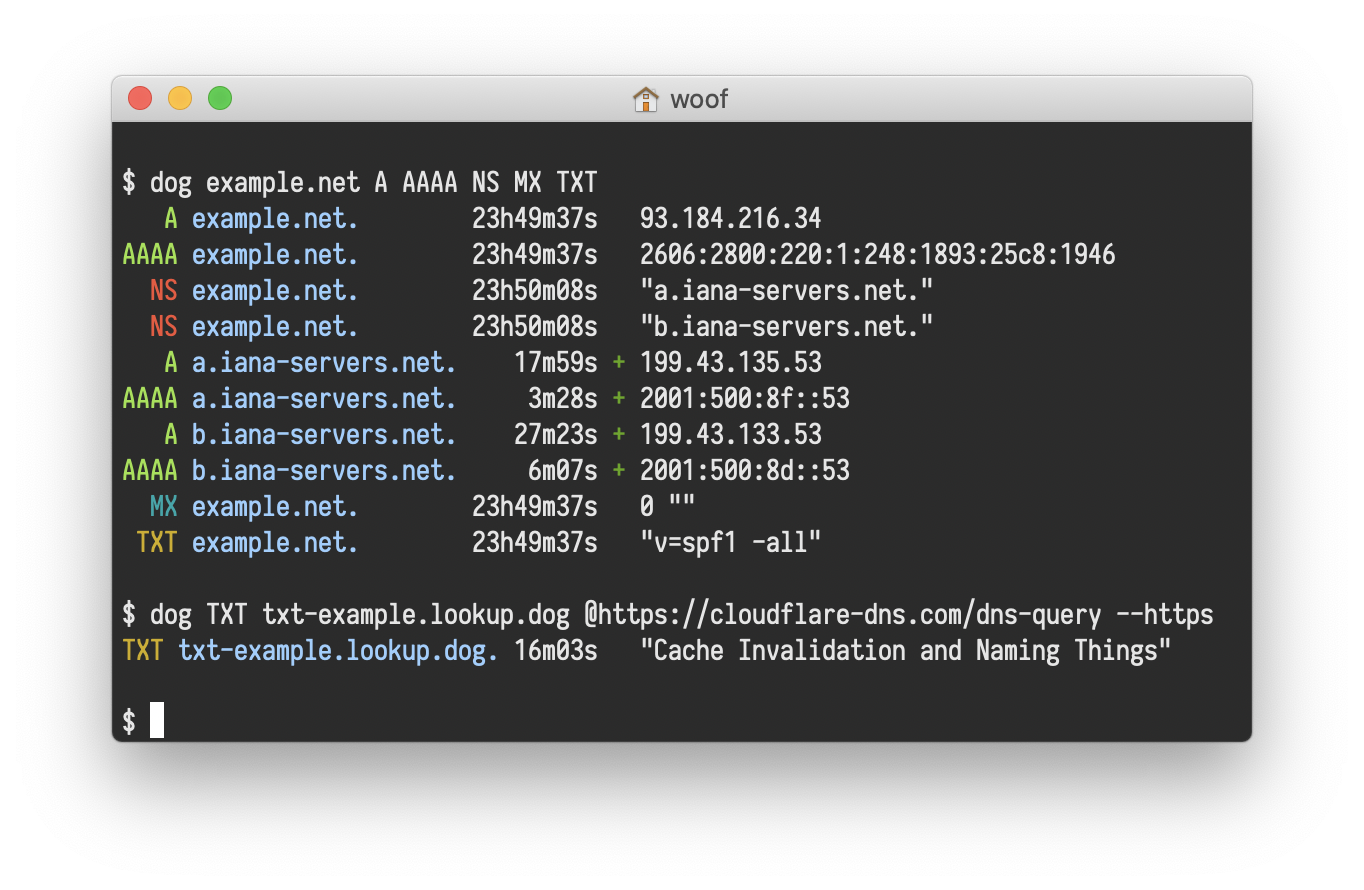 Colorized DNS query output with human-readable formatting