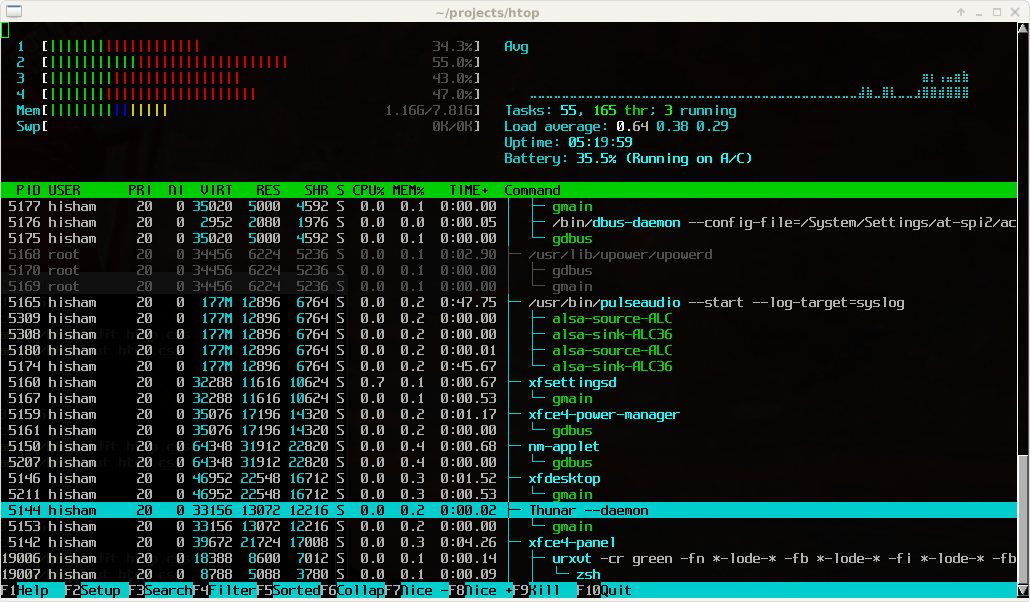 htop showing processes with CPU and memory meters